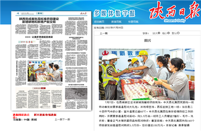 6163银河西北集团珑樾府项目高温慰问——《陕西日报》